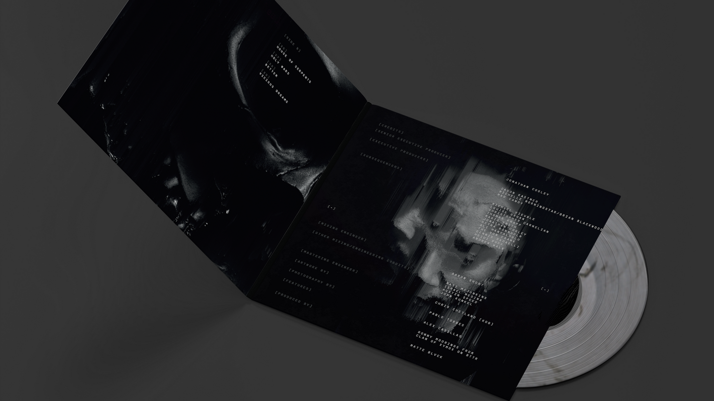 VOWS VINYL